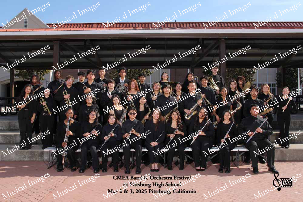 Musical Images